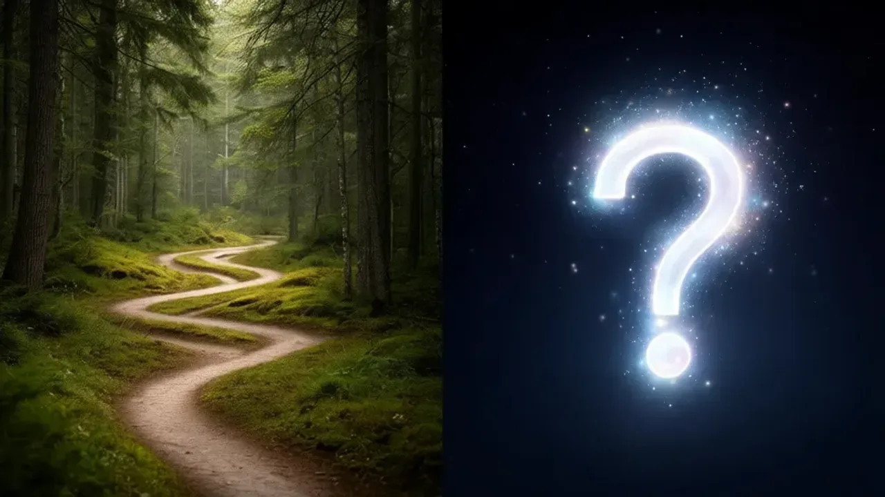 Wander vs. Wonder: Differences in Meaning and Usage Explained